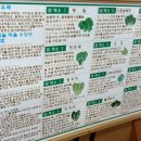 제주유기농쌈밥촌(본점) 네이버블로그