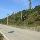 내곡동444 이미지