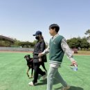 BG독케어센터 이미지