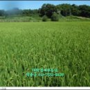 복운2리마을회관 이미지