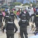 솔마1로 이미지