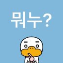 너를담다수변점 | 스페인 마요르카 여권분실 대처법!!