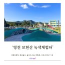 즐거움 쑥쑥 메타버스 놀이터 | 근교 아이랑 실내외 자연, 모래놀이 체험, 대형 놀이터 완전 무료 ‘영천 보현산 녹색체험터’ 그늘막...