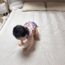 여름침대패드 집앤콕 헤링본 냉감패드 땀많은 아기 사용후기