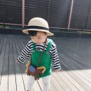 포켓애니멀 이미지