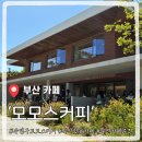 (주)모모스 | 부산 핫플 신상 카페 투어! 모모스커피 도모헌점 주말에 다녀온 솔직 후기