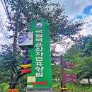 원주굽이길 15코스 백운산자연휴양림길 이미지