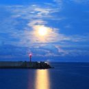 오늘머린 이미지