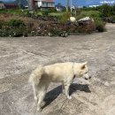 송우펜션 이미지