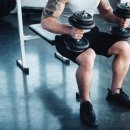 토니바디 휘트니스 이미지