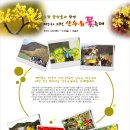 제3회 경북 의성 "산수유꽃" 축제 - 2010년3월20(토)~4월4일(일) 이미지