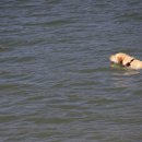 참샘농장 이미지