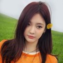 레드브라운 - 안양시 동안구 평촌대로 217 | 레드브라운