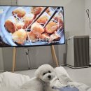 컴페니언바이주문진 이미지