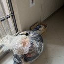 중고대통령 | 봄맞이 옷장 정리 후 헌옷수거까지 헌옷대통령 이용후기
