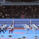 손 태권도 이미지