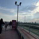 마포-상암-마포-665 | 230909 썸데이 페스티벌 셔누 형원 공연 후기