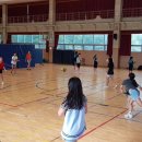 감천체육관 이미지