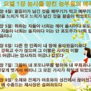 화성양돈2 이미지