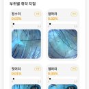 포승PC | 엄마 두피에 거품이 뽀글뽀글?! 청북 임국희헤어드레서(온헤드스파) 효도 클리닉 후기