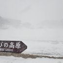 기리시마 이미지