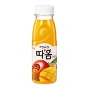 따옴