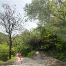 힐링 2코스 | [진천] 충북 진천 두타산 등산후기｜최단코스 왕복 2시간 힐링 산행