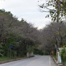 경기둘레길 평택45코스 이미지