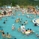 신정호야외수영장 이미지