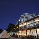 안면도덤앤더머 이미지