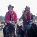 성읍리-20 이미지