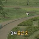 가온 | 봄+벚꽃하면_경주.zip :: 경주 스테이가온 사랑채 후기🏡