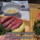 청월참치