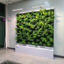 강동동 행정복지센터 이미지