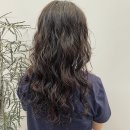 아르브헤어 arvv 이미지