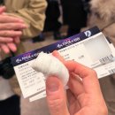 토토로하우스 | 센과 치히로 뮤지컬 후기 낋여오기 with 예술의전당 오페라하우스(오페라극장) 3층 시야!