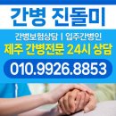 간병진돌미