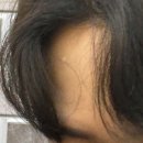 세븐일레븐 광주신가사거리점 | 광주 신가동 <조선옥의 인생육개장 수육곰탕>