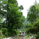 몽골민속예술공연장 이미지