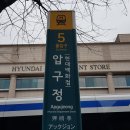 강남-094 이미지