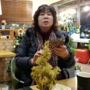 홍도뼈꼬시