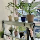 그린다이닝 이미지