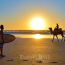 중부-현장-중부-365 이미지