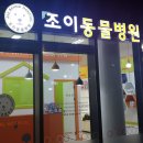 조이동물병원 이미지