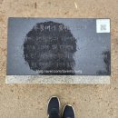 두물머리 관광안내소 | 봄비 내리는 두물머리 , 조용한 힐링 산책 후기 [무료주차장 위치 꿀정보]