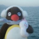 카 포인트 이미지