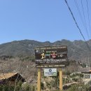 풍천대봉감농원 | 하동 현지인 맛집 지리산대박터고매감 비빔밥 감말랭이 솔직후기