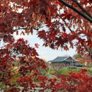 남가람 문화거리 이미지