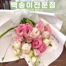 백송이&백만송이꽃집 | [내돈내산] 서울 가성비 끝판왕 24시간 꽃집, 백송이전문점
