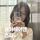 C앤C헤어클럽 | 김해 율하 미용실 단발 C컬펌 후기 율하헤어앤스파